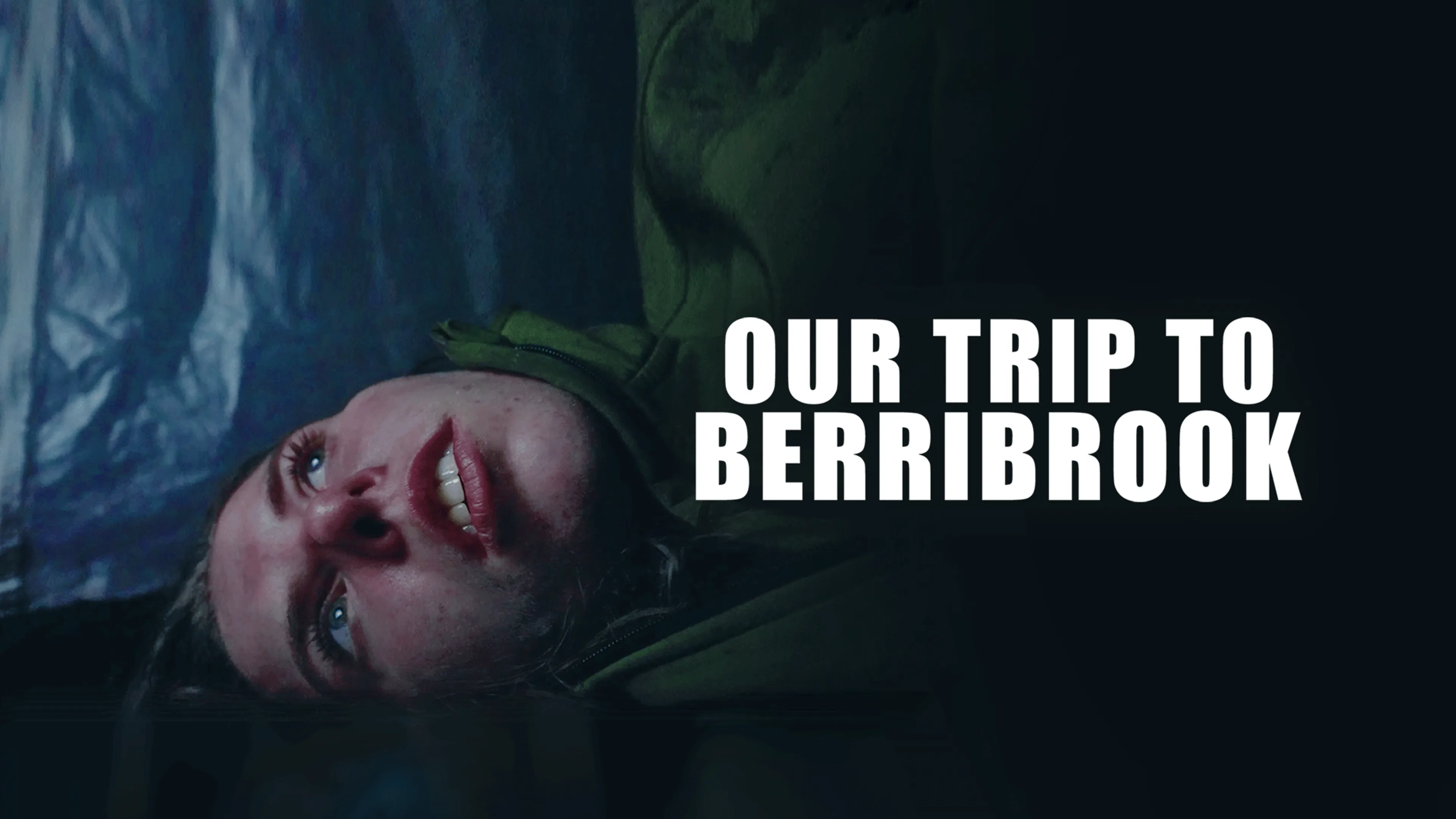 Our Trip to Berribrook poster